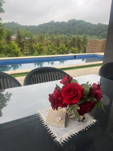 Günlük kirayə evlər: 70 kv. m, 3 otaqlı, Artezian quyusu, Su, Qaz — 16