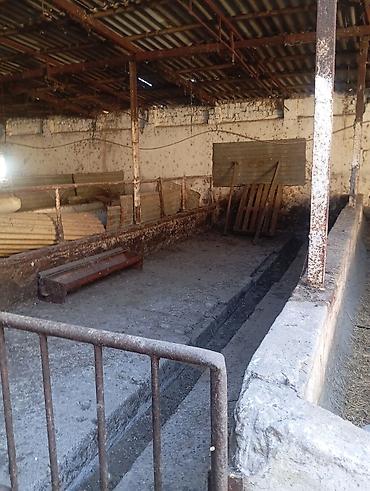 Продажа коттеджей и домов: Продаю два дома на одном участке Рядом с трассой Аэропорта Манас Село — 18