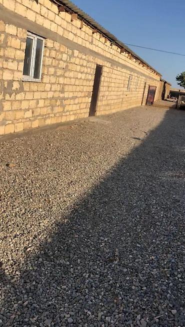şəhər bağları: Digah, 500 kv. m, 9 otaq, Hovuzlu, Artezian quyusu, Kanalizasiya, Kombi — 8