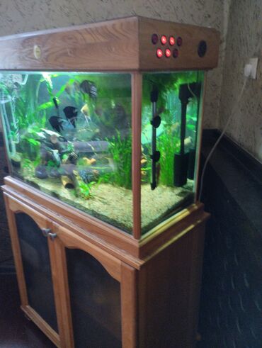 аквариум с тумбой: Продаю фирменный дизайнерский аквариум, материал дерево со всем