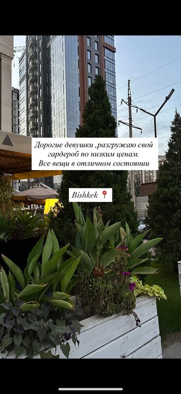 коктейльное платье с открытой спиной: Кече көйнөгү, Узун модель, Далысы ачык, S (EU 36)