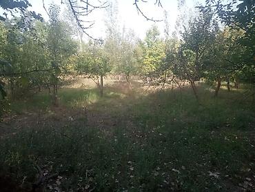 emlak.az sumqayit: 6 sot, Tikinti, Maklerlər narahat etməsin, Kupça (Çıxarış) — 2