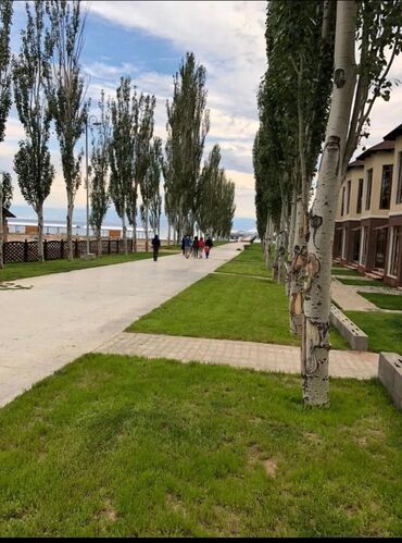 чок тал киргизия. чок тал иссык куль. чок тал иссык куль учкун. чок тал иссык куль. чок тал иссык куль.