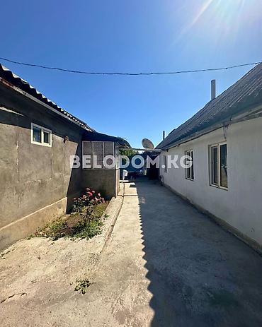 Продажа домов: 🏠Продается дом в с. Беловодское Нижняя зона, от трассы - 500м 🟡Дом — 2