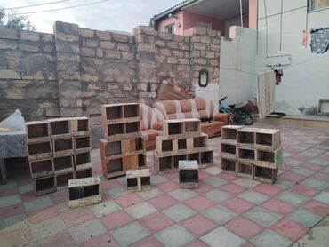 домик для большой собаки: Taxta göyərçin yuvaları və bölməli qəfəslər - Material: qalın