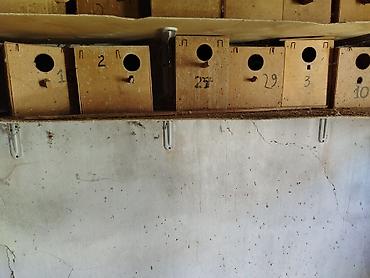 taxta qurdu: Taxta quş yuvaları (dovğa/taxta qutular) - Material: sıx — 2