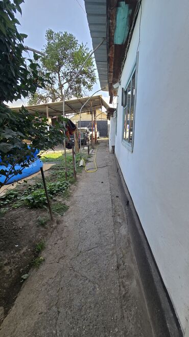 Продажа домов: Дом, 60 м², 4 комнаты, Собственник, Косметический ремонт at lalafo.kg — 8 Продажа домов: Дом, 60 м², 4 комнаты, Собственник, Косметический ремонт — 8