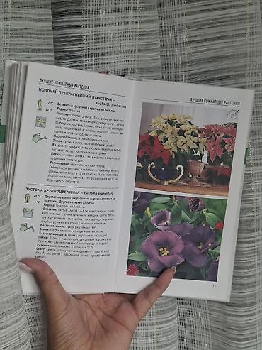 Бөлмө өсүмдүктөрү: Книга: «Лучшие комнатные растения. Комнатное цветоводство» - — 2