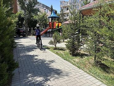 binəgədi: Bakı, 8-ci mikrorayon, 2 otaqlı, Köhnə tikili, m. Azadlıq Prospekti, 40 kv. m — 5