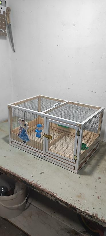 heyvan satilir: Dovşan,cücə,pişik,hamster,quş ve s kimi ev heyvanlari üçün qəfəsler — 1