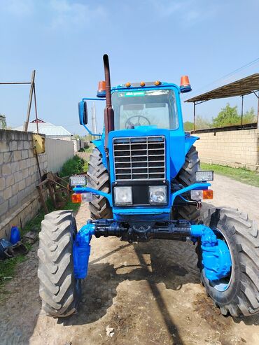 belarus traktor: Saz vəziyyətdə