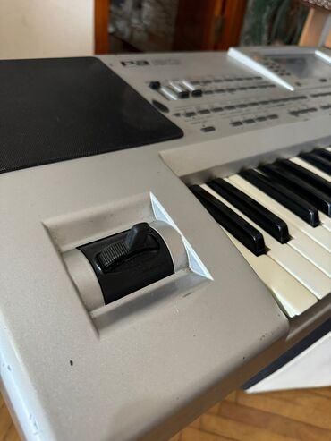 pa1000 korg: Sintezator, Korg, İşlənmiş