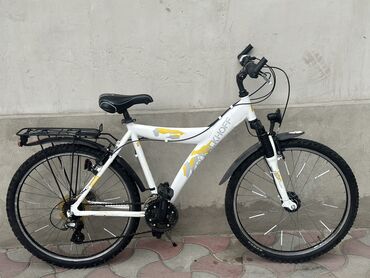 Городские велосипеды: Городской велосипед, Рама XXL (190 - 210 см), Б/у — 19