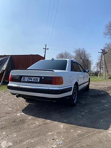 Audi: Audi 100: 1993 г., Седан — 5