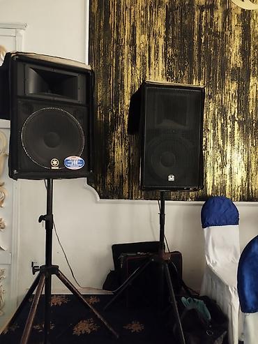 tavan monitor: Peşəkar səsyazma və səhnə üçün tam akustik sistem 2 Yamaha kalomkada — 2