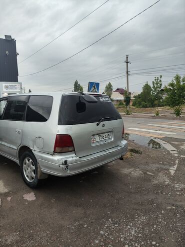 меняю скот на авто: Honda Odyssey: 1998 г., 2.3 л, Автомат, Бензин, Вэн/Минивэн