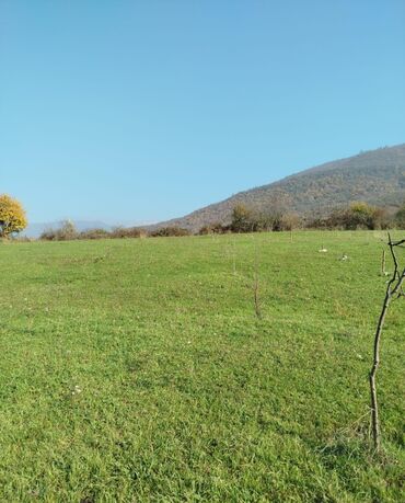 Torpaq sahələrinin satışı: 15 sot, Tikinti, Maklerlər narahat etməsin — 4