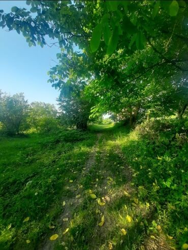 sosial evler satilir: 8 sot, Tikinti, Mülkiyyətçi, Kupça (Çıxarış)