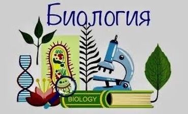 программы для 3d моделирования corel: Репетитор Биология Сынактарга даярдоо, ЖРТга (БМЭге), УТБга даярдоо, Олимпиадага даярдоо