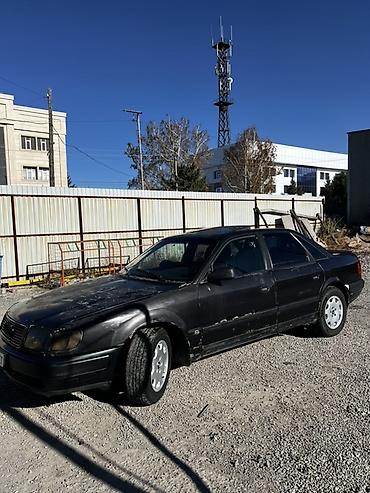 тнвд ауди а6 с5 2.5 тди цена: Audi 100: 1992 г., 2.3 л, Механика, Бензин, Седан — 6