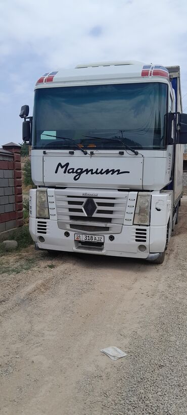 титаник на спринтер: Грузовик, Renault, Б/у
