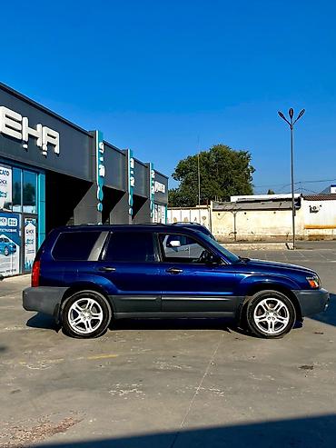 255 35 20: Subaru Forester: 2004 г., 2.5 л, Автомат, Бензин, Кроссовер — 7
