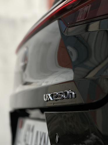 Lexus: Lexus UX: 2021 г., 2 л, Автомат, Гибрид, Кроссовер — 8