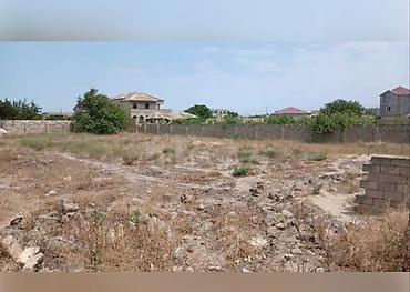 Torpaq: 20 sot, Mülkiyyətçi, Kupça (Çıxarış) — 3