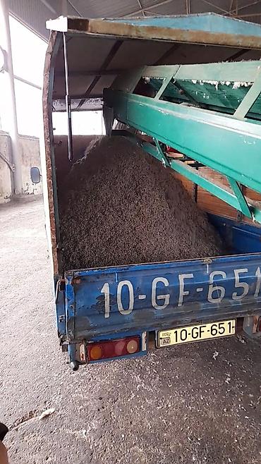 Hyundai: Hyundai H-100: 2.5 l | 1998 il Pikap — 5