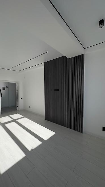 леостан: 1 комната, 47 м², Пишпек Элитка, 5 этаж, Евроремонт — 3