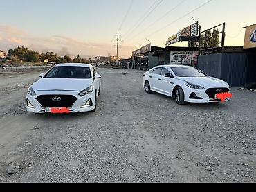 sonata 2020: Hyundai Sonata: 2020 г., Автомат, Бензин, Седан — 1