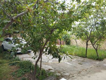 lalafo azərbaycanda ticarət, iş və mənzil axtarışı üzrə ən böyük servisdir: 7 otaqlı, 240 kv. m, Kredit yoxdur, Yeni təmirli