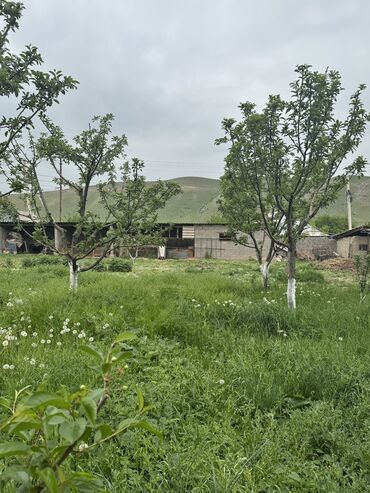 Продажа участков: 6 соток, Для строительства