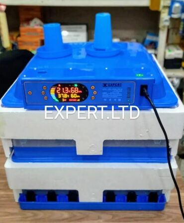 Toyuqlar: Toyuq, Yumurtalıq, Ünvandan götürmə, Ödənişli çatdırılma, Rayonlara çatdırılma — 10