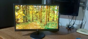Monitori: V7 L215DS-2E - LED monitor - Full HD (1080p) - 21.5"-perfektan — 5