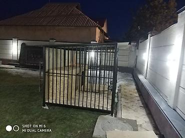 Товары и оборудование для с/х животных: Вольер, будка, домики для собаккошек,кур,и.т.д НА ЗАКАЗ любой — 18