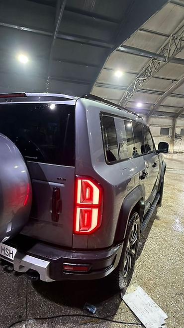 BAW: BAW : 2025 г., Внедорожник — 1