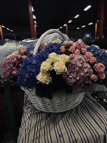 Букеты из живых цветов: Авторские букеты из свежих цветов - Розы премиум-класса (крупный — 13