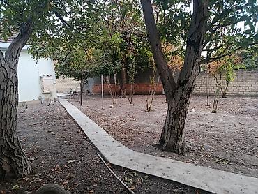 ev alqi satqi kiraye: 4 otaqlı, 700 kv. m, Yeni təmirli — 3