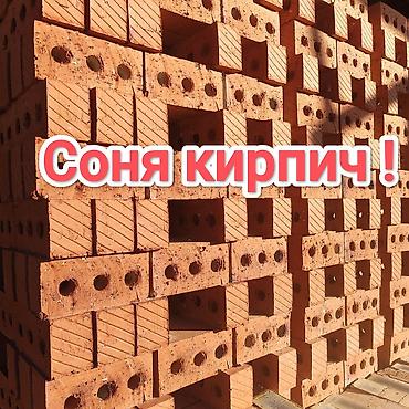 Тешиктүү, Бышкан кирпич, Жарым блок, 250×120×90