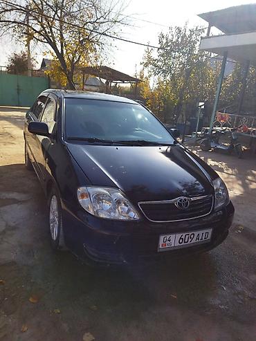 jelly машина: Toyota Corolla: 2004 г., Седан — 1