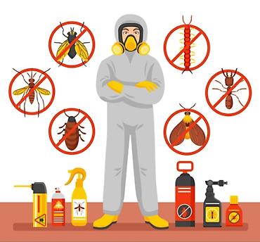 дезинфекция дома: Дезинфекция, дезинсекция, | Клопы, Тараканы, Муравьи, | Подвал, погреб, Офисы, Транспорт — 1