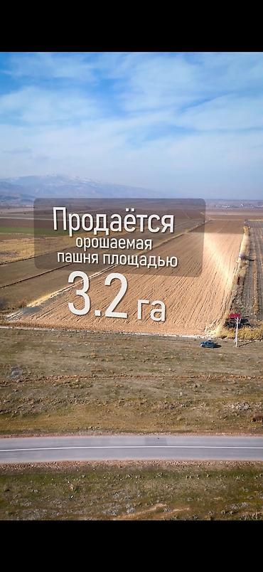 поливное земля: 319 соток, Для сельского хозяйства — 1