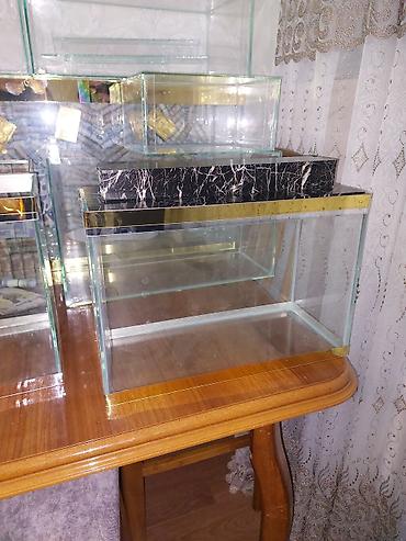 Akvariumlar: Çatdırılma tam pulsuzdu ölçü və dizaynında dəyişiklik etməy olar arxa — 13