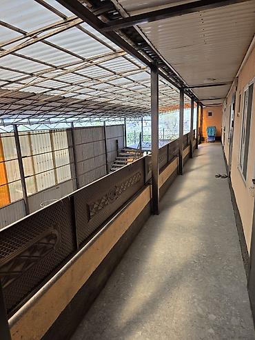 Долгосрочная аренда комнат: 25 м², С мебелью — 9