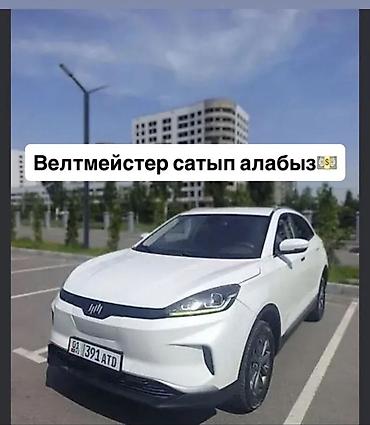 kaiyi e5: Weltmeister EX5, 2021 г. — 1