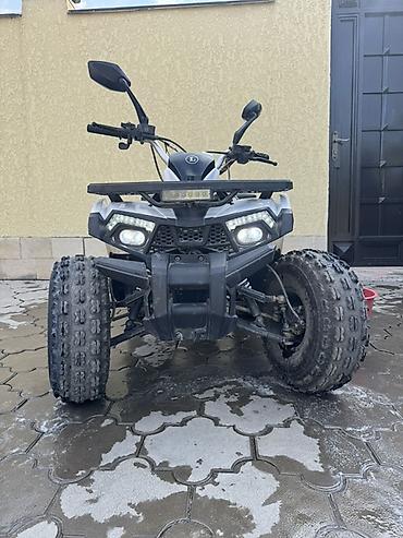 Квадроциклы: Квадроцикл Бензин, 130 куб. см, Детский — 1