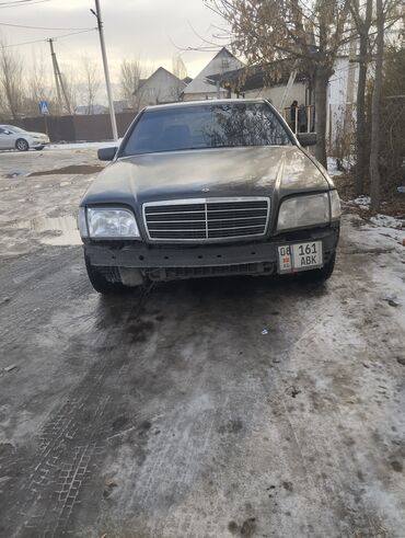 кабан: Mercedes-Benz S-Class: 1995 г., 3.2 л, Механика, Бензин