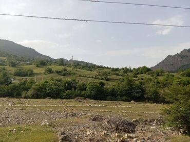 xacmazda kiraye evler: 139 sot, Kənd təsərrüfatı, Kupça (Çıxarış)