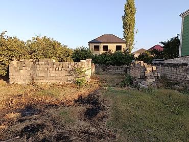 Torpaq sahələrinin satışı: Tikinti — 11